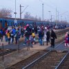 Családi hétvége a Fővárosi Nagycirkuszban